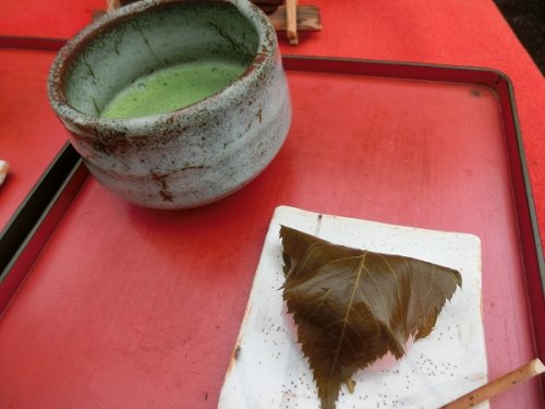 Matcha & Sakuramochi