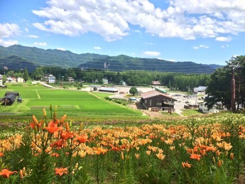 Hakuba!