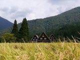 Autumn in Shirakawa-go