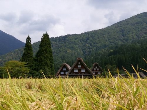 Autumn in Shirakawa-go